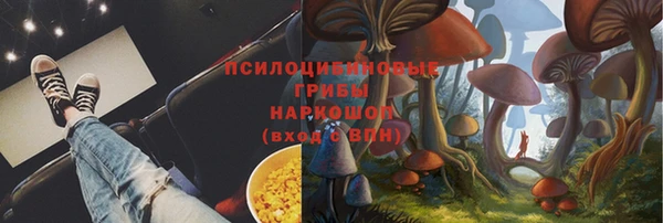 дурь Пестово