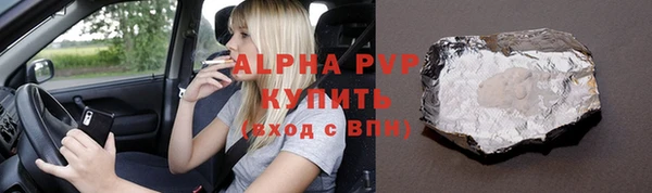 ПСИЛОЦИБИНОВЫЕ ГРИБЫ Осинники