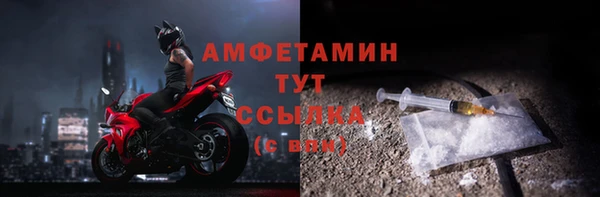 ПСИЛОЦИБИНОВЫЕ ГРИБЫ Осинники