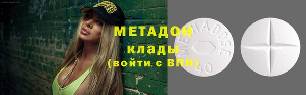 ПСИЛОЦИБИНОВЫЕ ГРИБЫ Осинники