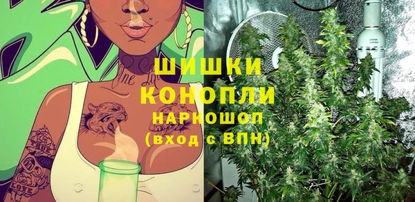 гашик Переславль-Залесский