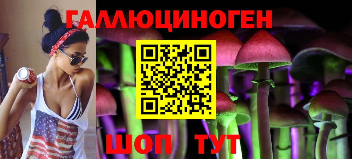 Псилоцибиновые грибы Cubensis  Галлюциногенные грибы Psilocybe  Вход с VPN  Бердск 