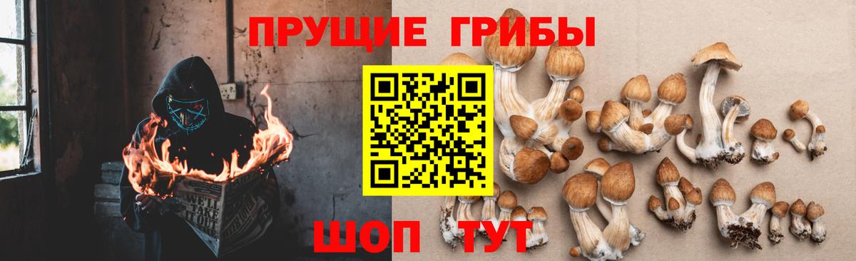 Галлюциногенные грибы мицелий Бердск